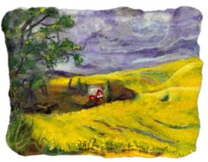 Sunlit Canola Landscape Sunlit Canola Landscape